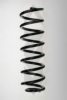 SPIDAN 55734 Coil Spring